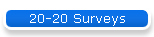 20-20 Surveys